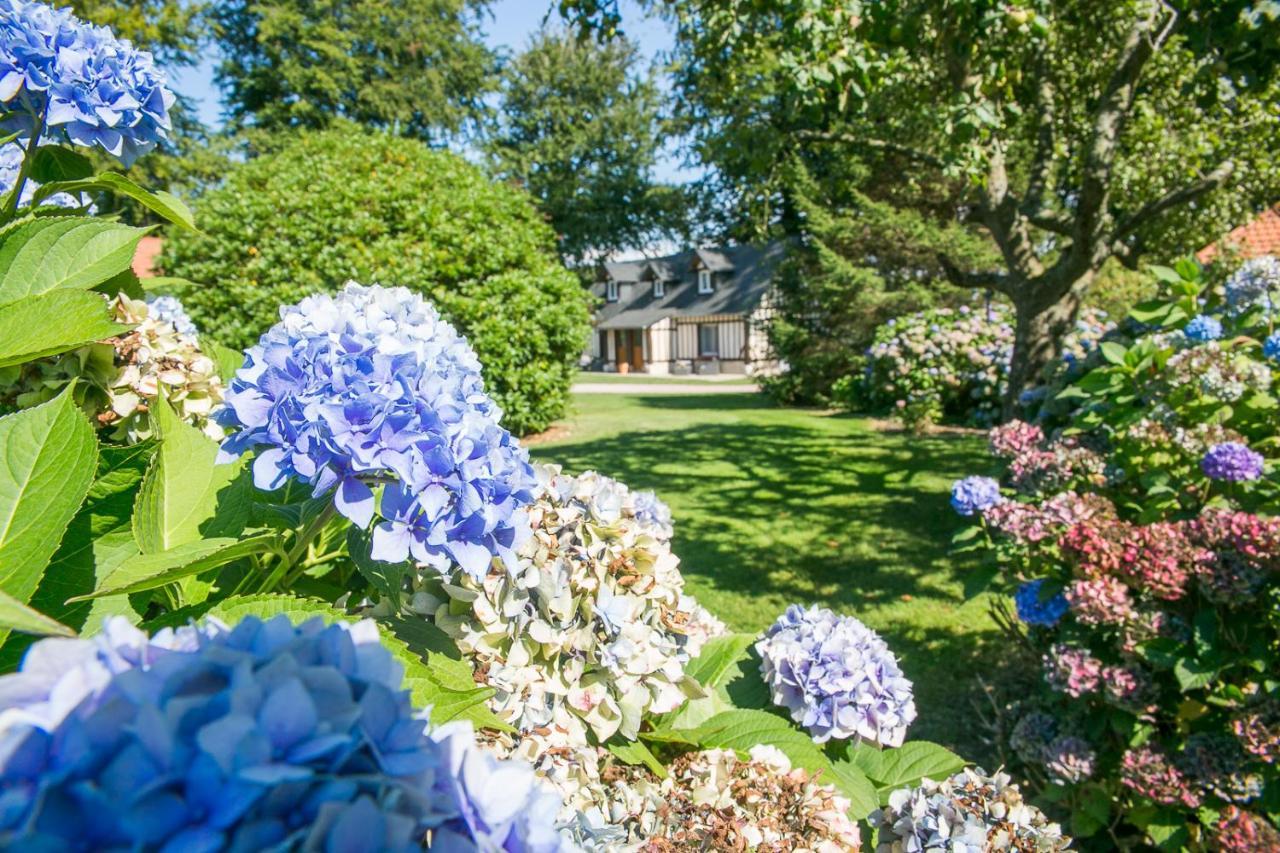 Clos Celeste - Campagne D Etretat Avec Piscine Et Spa (Adults Only) Ecrainville Экстерьер фото